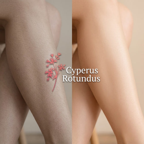 Cyperus Rotundus | Aceite removedor de vello corporal para una piel suave